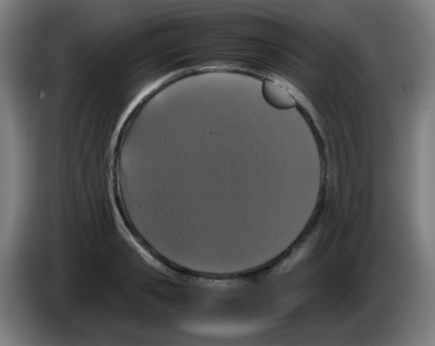 X0000086240941200704261913