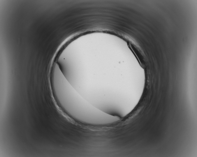 X0000086240942200704261913