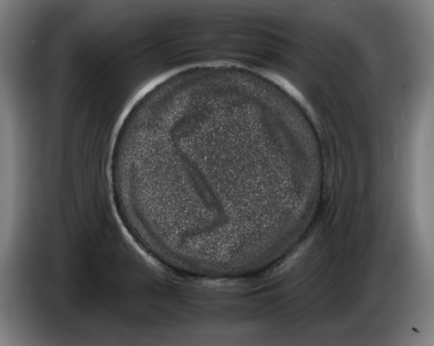 X0000086240943200704261913