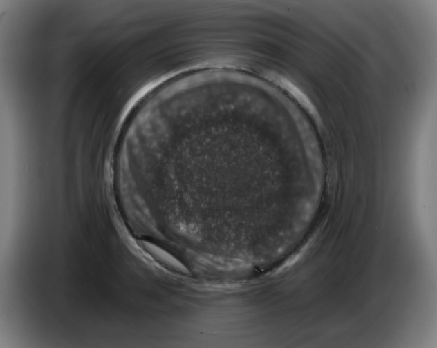 X0000086240944200704261913