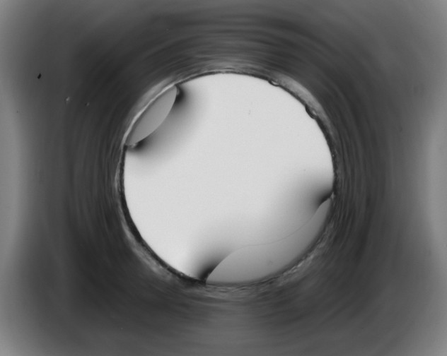 X0000086240946200704261913