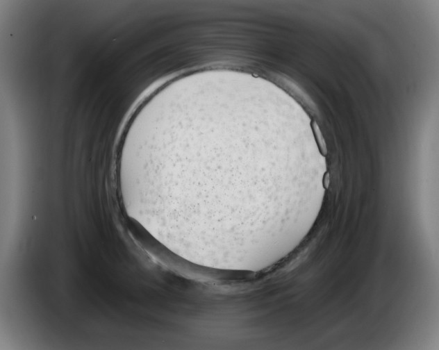 X0000086240948200704261913