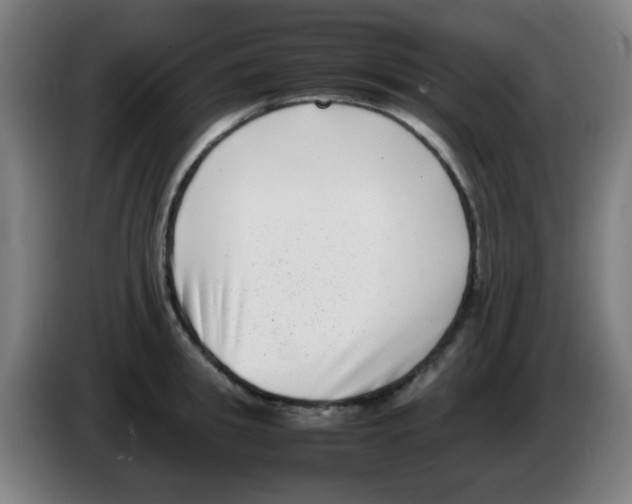 X0000086240949200704261913