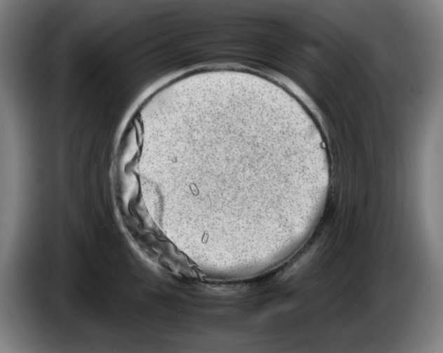X0000086240951200704261913
