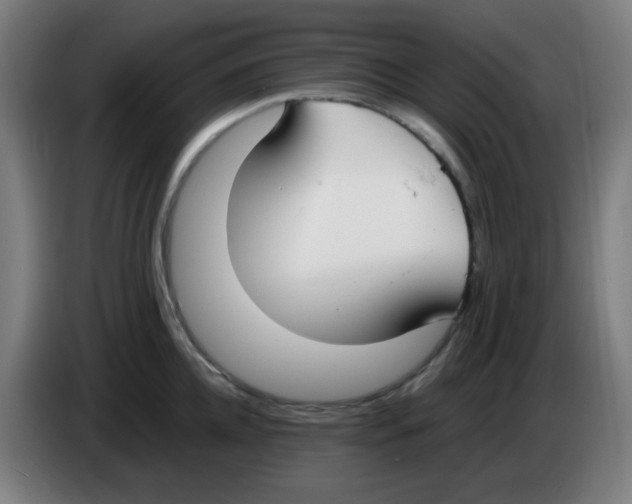 X0000086240952200704261913
