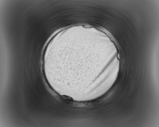X0000086240955200704261913