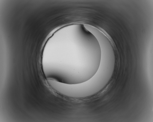X0000086240956200704261913