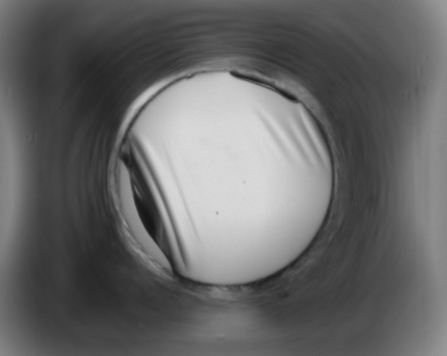 X0000086240960200704261913