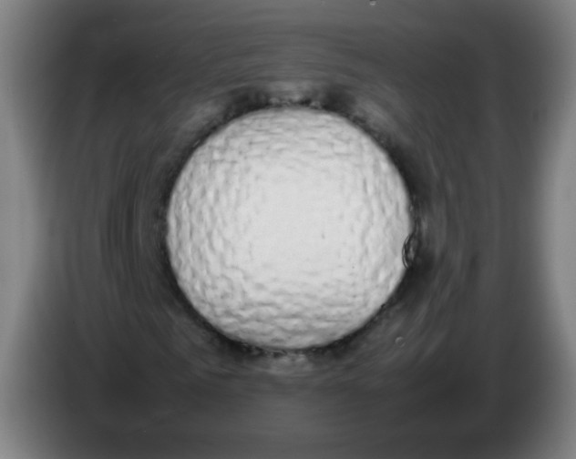 X0000086240961200704261913
