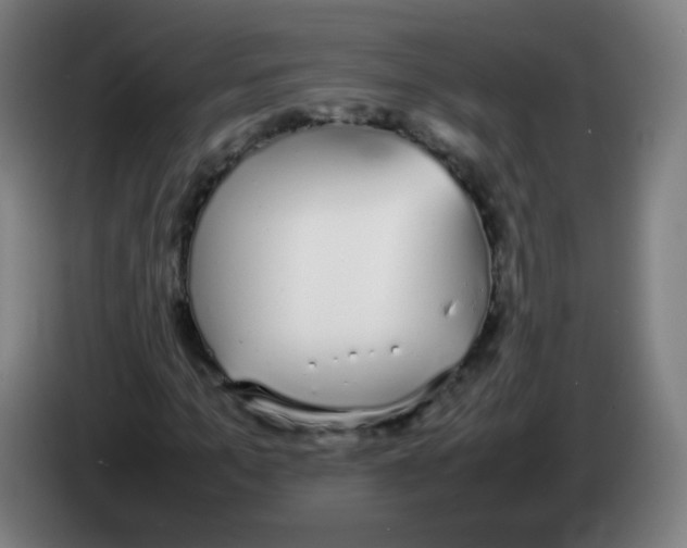 X0000086240965200704261913