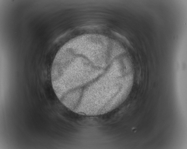 X0000086240966200704261913