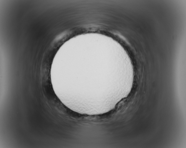 X0000086240967200704261913