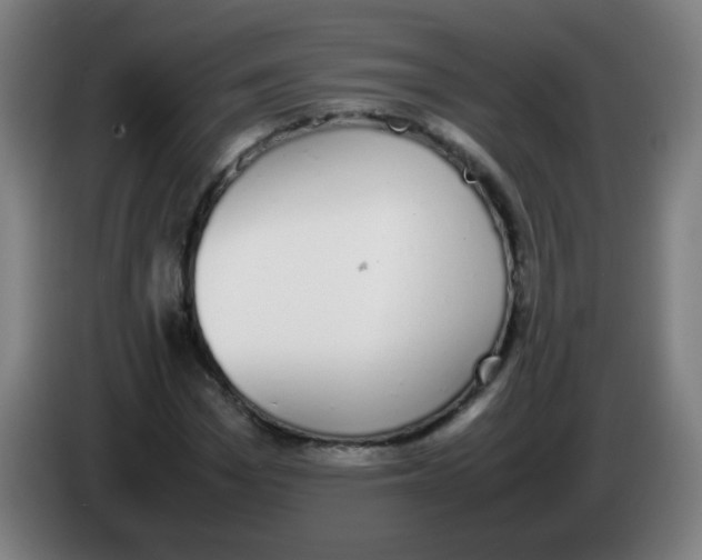 X0000086240969200704261913