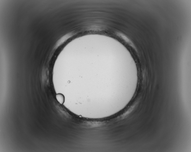 X0000086240970200704261913