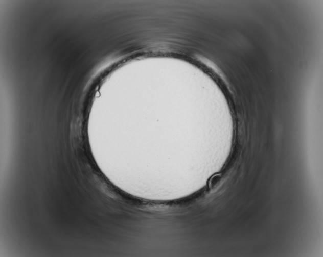 X0000086240971200704261913