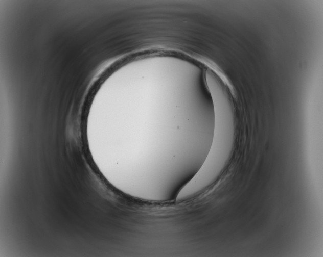 X0000086240972200704261913