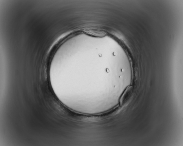 X0000086240973200704261913