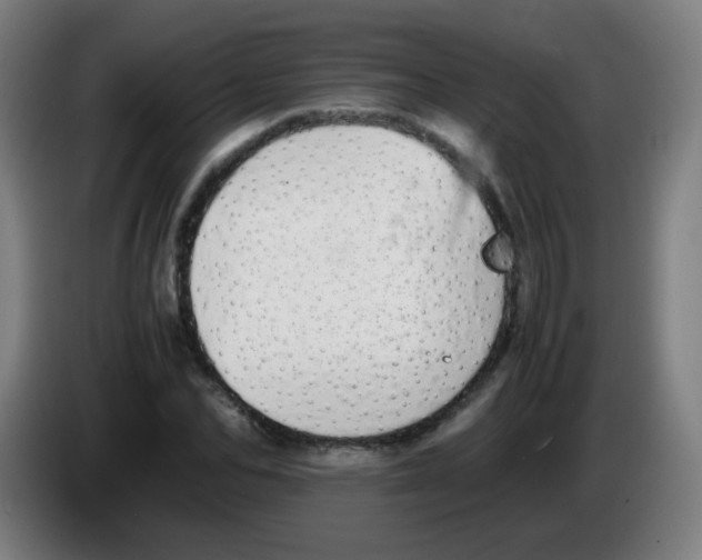 X0000086240974200704261913