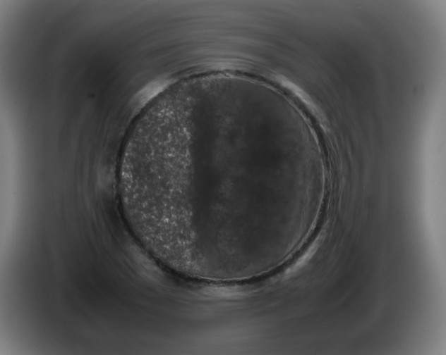 X0000086240977200704261913