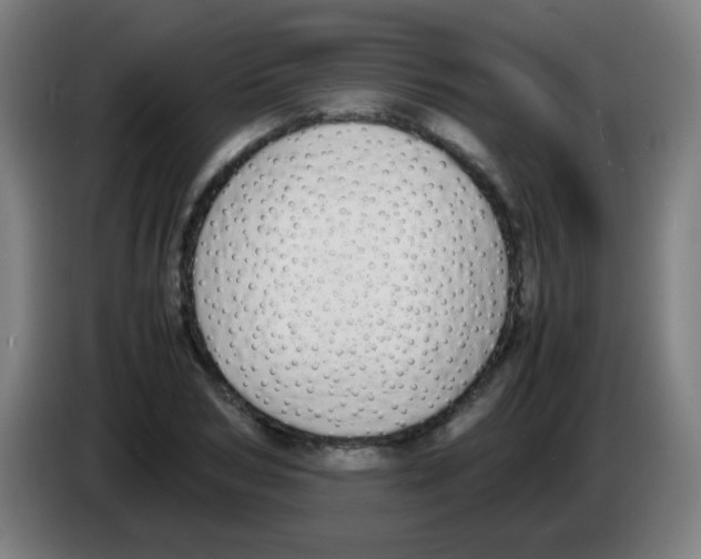 X0000086240978200704261913