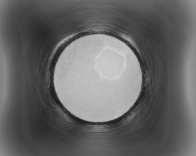 X0000086240979200704261913