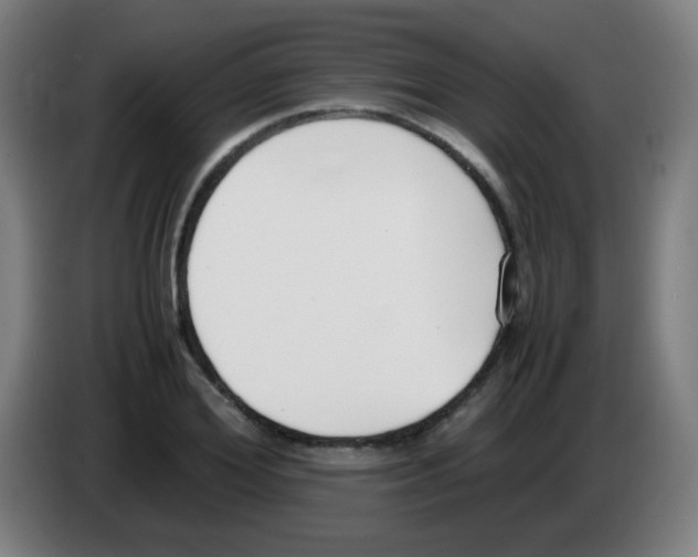X0000086240980200704261913