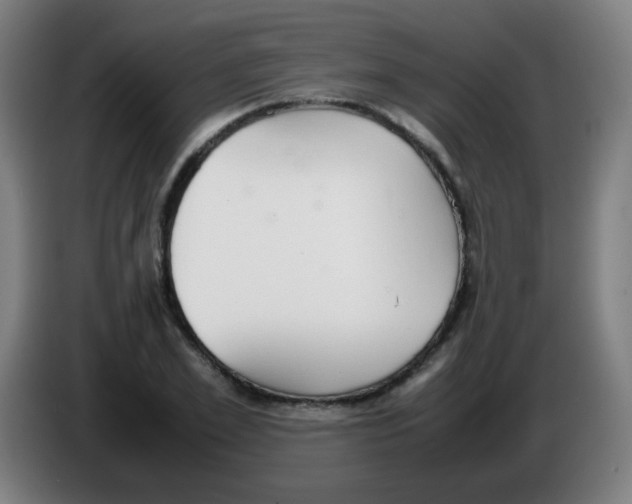 X0000086240981200704261912