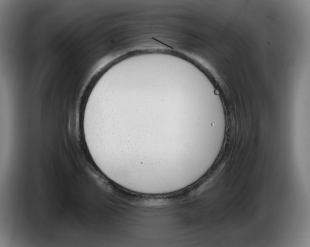 X0000086240982200704261912
