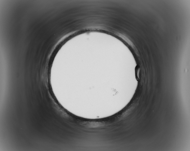 X0000086240984200704261912