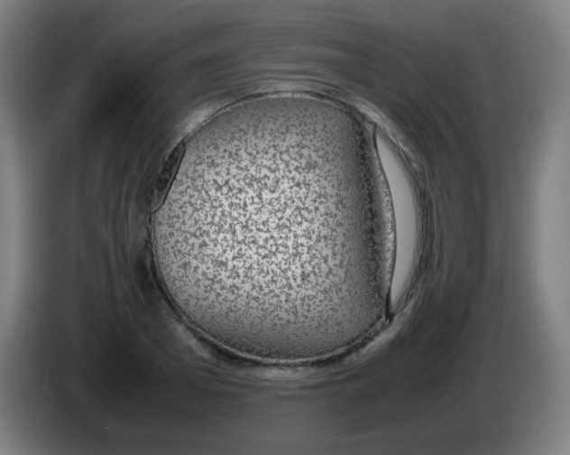 X0000086240985200704261912