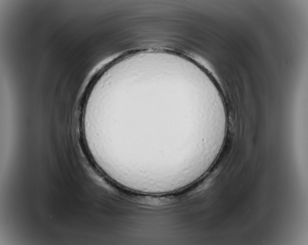 X0000086240987200704261912
