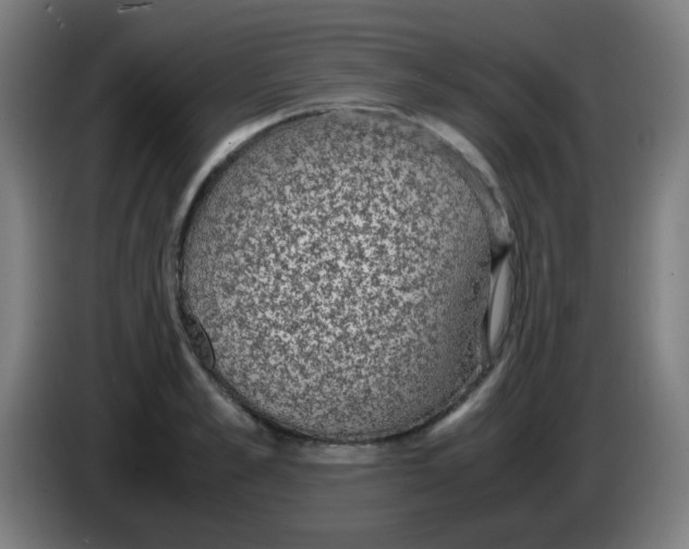 X0000086240989200704261912