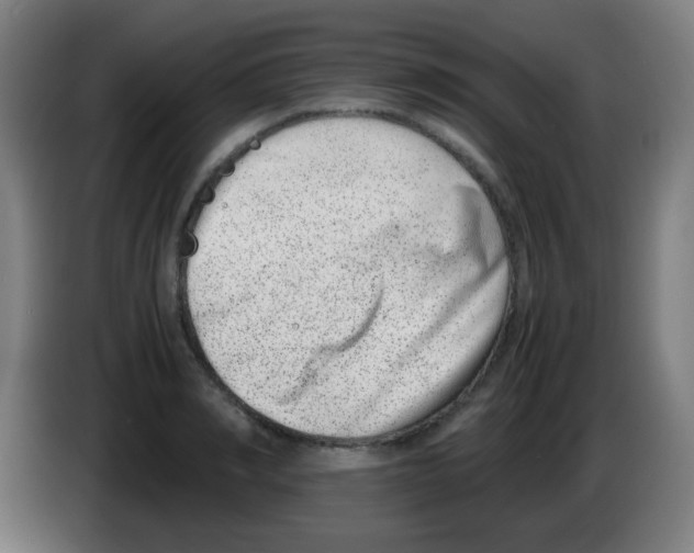 X0000086240990200704261912