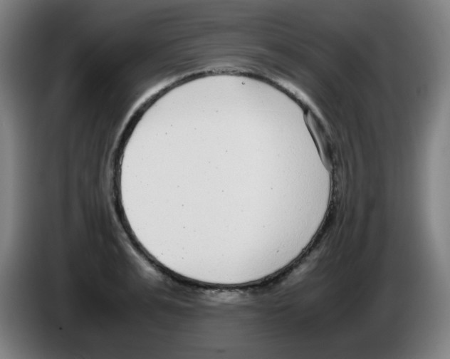 X0000086240991200704261912