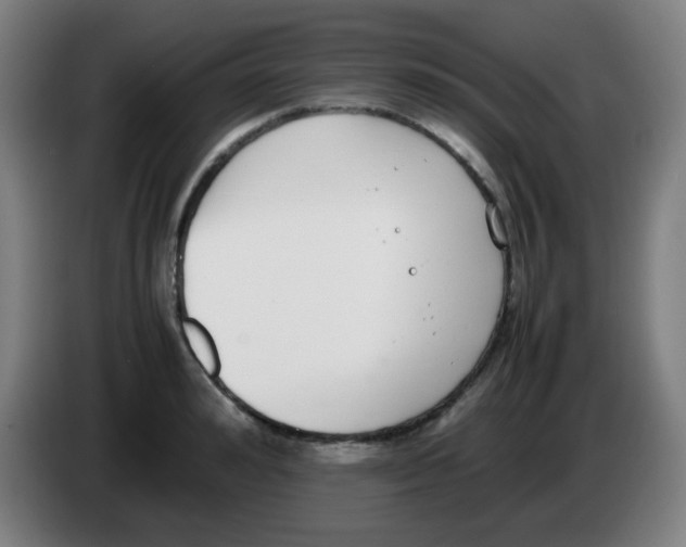 X0000086240992200704261912