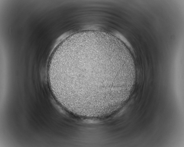 X0000086240994200704261912