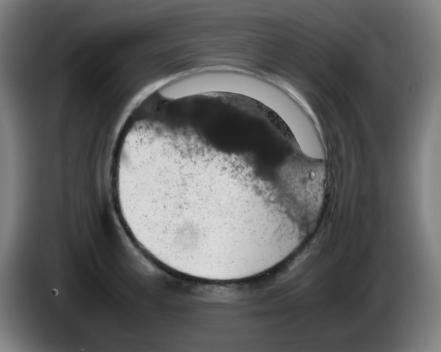 X0000086240995200704261912