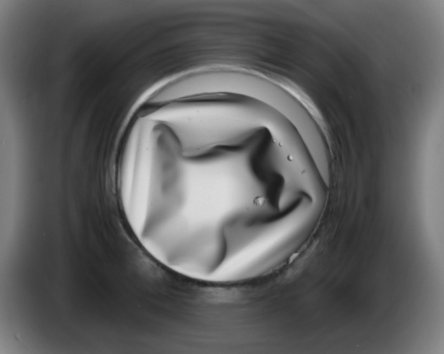 X0000086240996200704261912