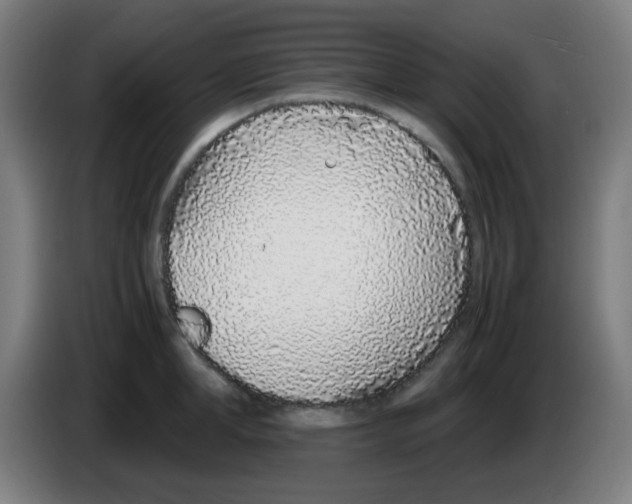 X0000086240998200704261912