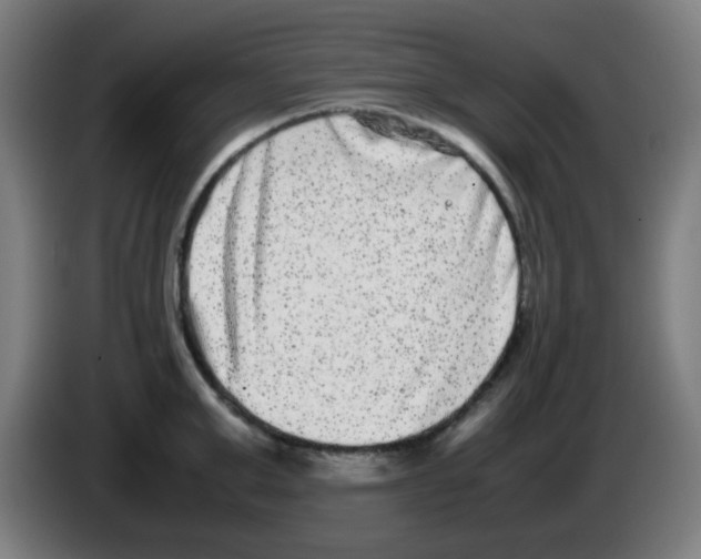 X0000086240999200704261912