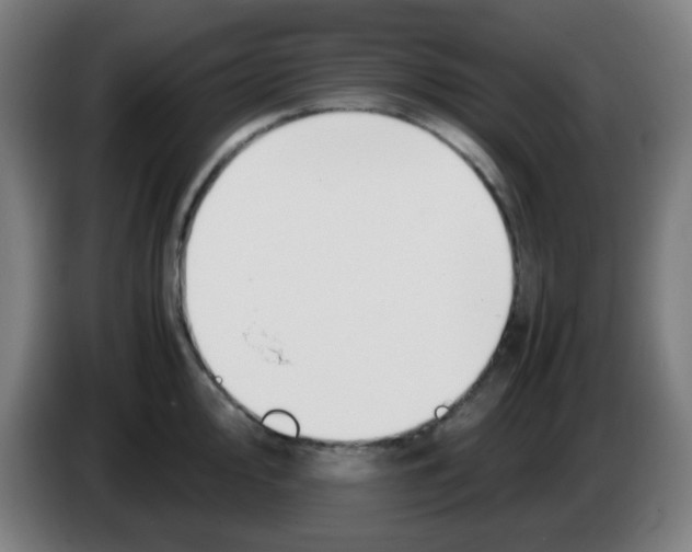 X0000086241000200704261912