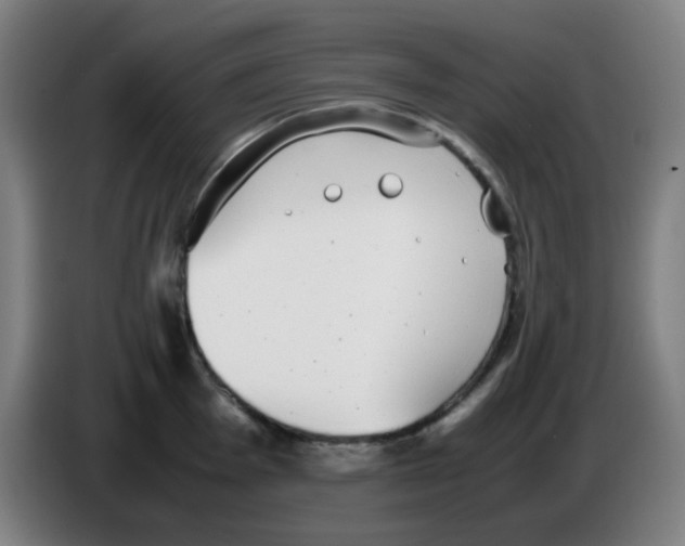 X0000086241001200704261912