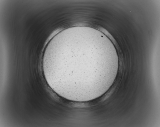 X0000086241002200704261912