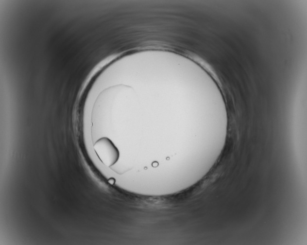 X0000086241003200704261912