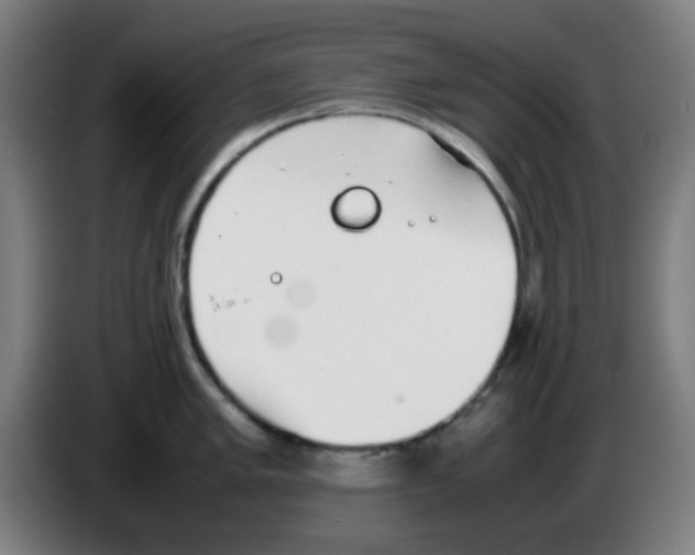 X0000086241005200704261912