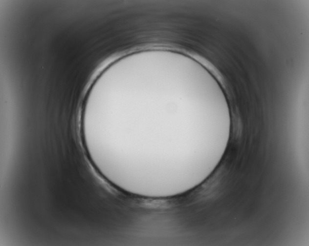 X0000086241006200704261912