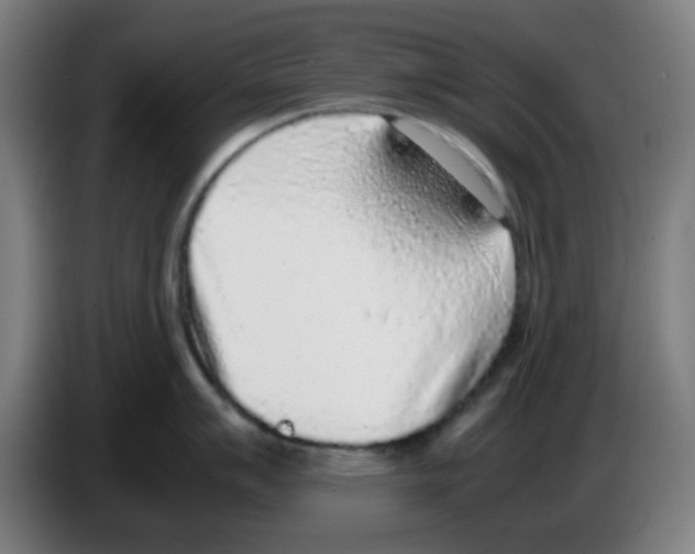 X0000086241007200704261912