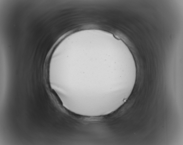 X0000086241008200704261912