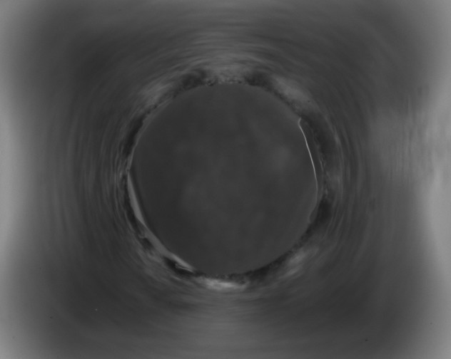 X0000086241010200704261912