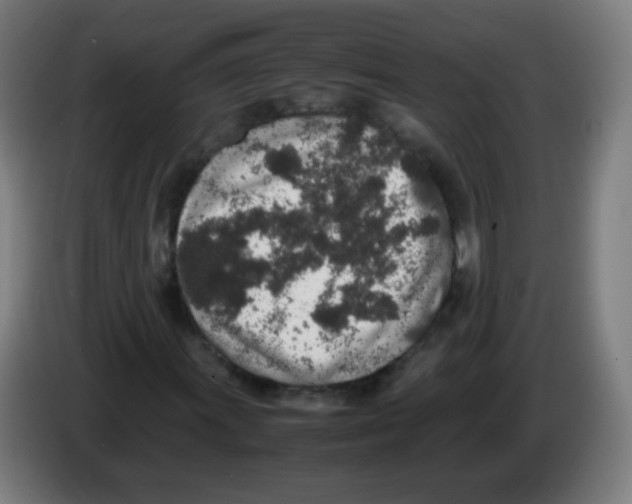 X0000086241011200704261912